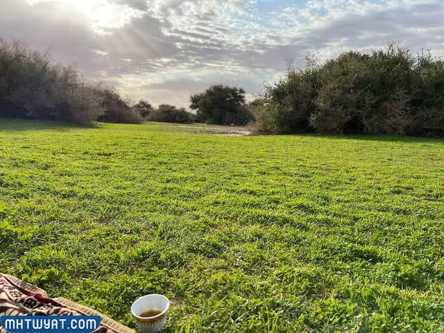 روضة خريم 1444