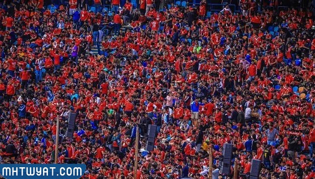 من هو اقوى جمهور في افريقيا 2023