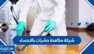 افضل شركة مكافحة حشرات بالاحساء 2025