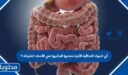 أي المواد الغذائية الآتية تصنعها البكتيريا في الأمعاء الغليظة ؟
