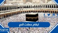 ارقام حملات الحج 1447