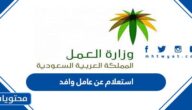 رابط وطريقة استعلام عن عامل وافد مكتب العمل في السعودية 1444