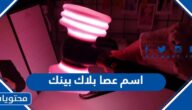 ماهو اسم عصا تشجيع بلاك بينك بالصور