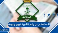 كيفية الاستعلام عن رقم تأشيرة خروج وعودة برقم الاقامة بالتفصيل