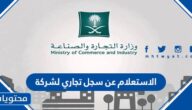 الاستعلام عن سجل تجاري لشركة باسم الشركة وزارة التجارة والاستثمار 1445