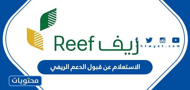 رابط وخطوات الاستعلام عن قبول الدعم الريفي 1447 / 2025
