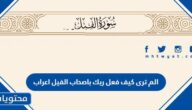 الم ترى كيف فعل ربك باصحاب الفيل اعراب