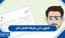 ما هي المهن المسموحة في وثيقة العمل الحر 1447