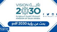 بحث عن رؤية 2030 pdf