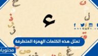 تمثل هذه الكلمات الهمزة المتطرفة