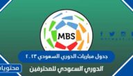 مباريات الدوري السعودي ٢٠٢٣ والمواعيد