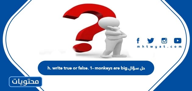 حل سؤال h. write true or false. 1- monkeys are big.
