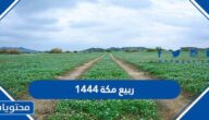 ربيع مكة 1444