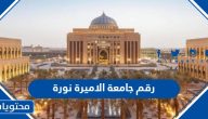 رقم جامعة الاميرة نورة وطرق التواصل مع الجامعة