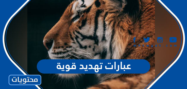 عبارات تهديد قوية