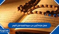 فضل قراءة آيتين من سورة البقرة قبل النوم