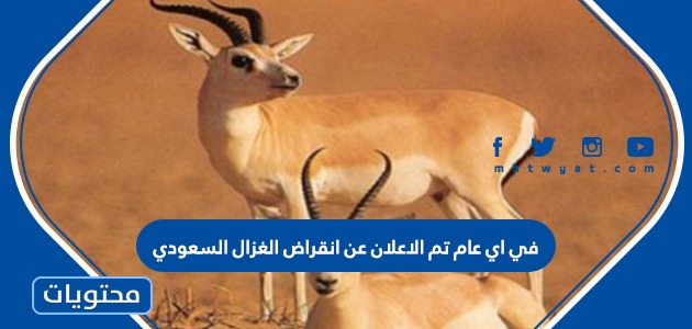 في اي عام تم الاعلان عن انقراض الغزال السعودي