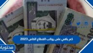كم باقي على رواتب القطاع الخاص 2024