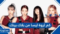 كم ثروة ليسا من فرقة بلاك بينك بالدولار