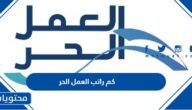 كم يبلغ راتب العمل الحر في السعودية 1447