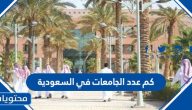 كم عدد الجامعات في السعودية وترتيبها حسب التصنيف العربي والعالمي