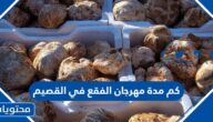 كم مدة مهرجان الفقع في القصيم 1446