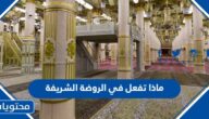 ماذا تفعل في الروضة الشريفة