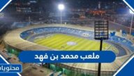 معلومات عن ملعب محمد بن فهد بالصور