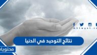 نتائج التوحيد في الدنيا