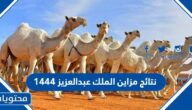 نتائج مزاين الملك عبدالعزيز 1444