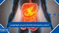 استخلص من الجدول امامك ثلاثة اعضاء تنتمي الى الجهاز الهضمي