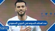 عدد اهداف السومه في الدوري السعودي