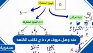 عند وصل حروف م ء ذ ي تكتب الكلمه