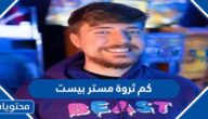 كم ثروة مستر بيست الان 2025