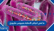 ما هي اعراض الاصابة بفيروس ماربورغ وطرق علاجه