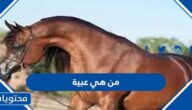 من هي عبية