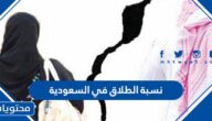 كم نسبة الطلاق في السعودية 1447