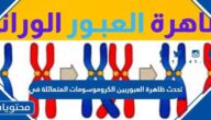 تحدث ظاهرة العبوربين الكروموسومات المتماثلة في