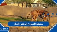 حديقة الحيوان الرياض الملز (مواعيد العمل ، اسعار التذاكر ، وطرق التواصل)