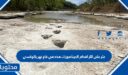 عثر على اثار اقدام الديناصورات هذه في قاع نهر بالوكسي