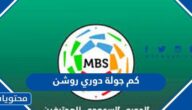كم جولة دوري روشن 2024