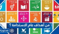 من أهداف عام الاستدامة ؟