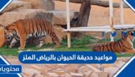 مواعيد عمل حديقة الحيوان بالرياض الملز 2025