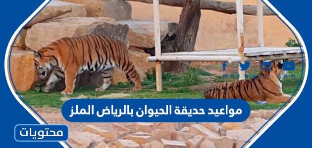 مواعيد عمل حديقة الحيوان بالرياض الملز 2025