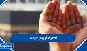 ادعية ليوم عرفة مكتوبة 2026 / 1447