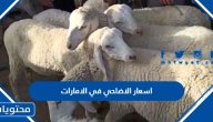 اسعار الاضاحي 2025 في الامارات