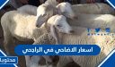 اسعار الاضاحي في الراجحي 2026 / 1447