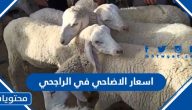 اسعار الاضاحي في الراجحي 2025 / 1446