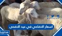 اسعار الاضاحي في عيد الاضحى 2026 / 1447 واماكن بيعها في السعودية