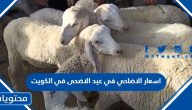 اسعار الاضاحي في عيد الاضحى في الكويت 2025 واماكن بيعها
